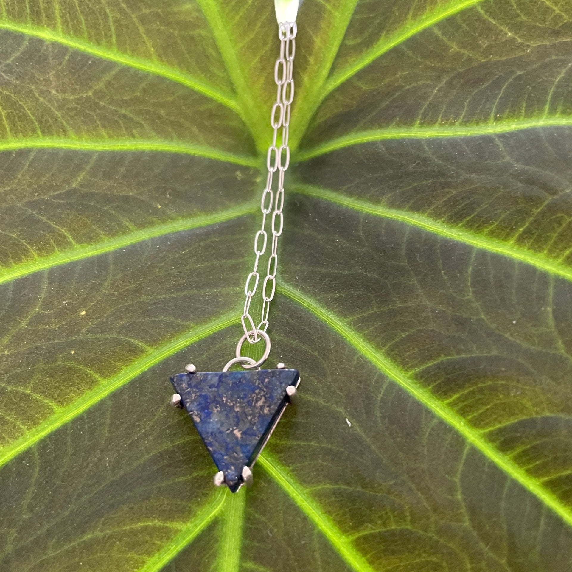 Sanchez_09.heic?v=1699545023&